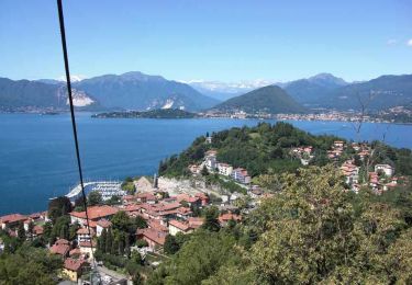 Tocht Te voet Cittiglio - IT-204 - Photo