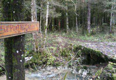 Tour Wandern Brénod - 01-Chartreuse de Meyriay - Brenod - Photo