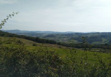 Excursión Senderismo Saint-Bonnet-des-Bruyères - La Michèle  - Photo