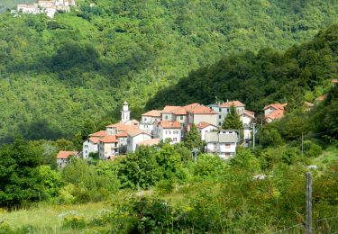 Percorso A piedi Casella - Avosso - Casa del Piccetto - Photo