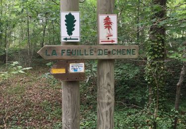 Excursión Senderismo Le Touquet-Paris-Plage - Les chênes  - Photo