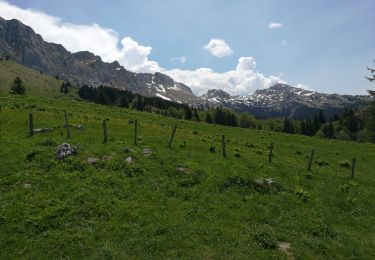 Trail Walking Villard-de-Lans - La Conversaria - Sentier Gobert - Photo