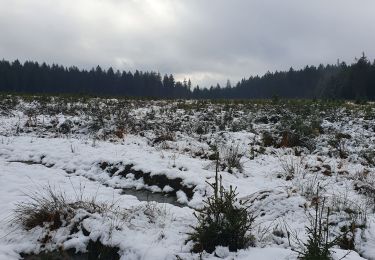 Tour Wandern Hohenfels - les colas - Photo