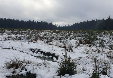 Randonnée Marche Houffalize - les colas - Photo