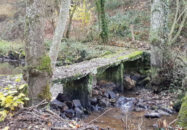 Tocht Te voet Saint-Pierre-des-Nids - Boucle du Moulin de Campas - Photo