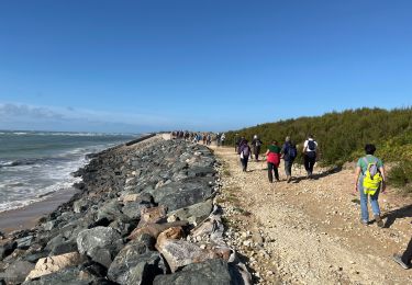 Trail Walking Saint-Clément-des-Baleines - Saint clement les baleines - Photo