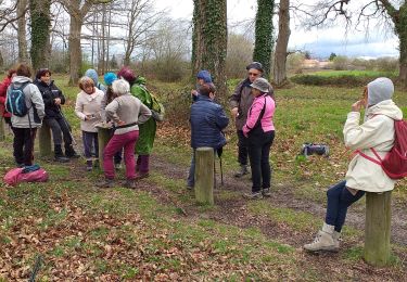 Trail Walking Bordères-sur-l'Échez - boiduc est fait - Photo