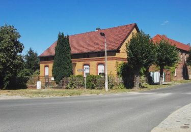 Percorso A piedi Lübben (Spreewald) - Rundwanderweg Treppendorf - Photo