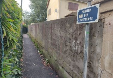 Randonnée Marche Verrières-le-Buisson - Les sentes de Palaiseau  - Photo