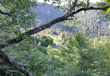 Randonnée Marche Stosswihr - Gaschney - Tour du Petit Hohneck - Photo