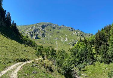 Tour Wandern Châtel - Les Mattes - Photo