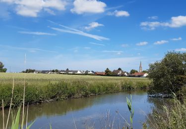 Tocht Stappen Hondschote - Champs de lin - Photo