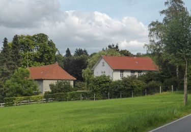 Tour Zu Fuß Kneitlingen - Elm Rundwanderweg 32 - Photo