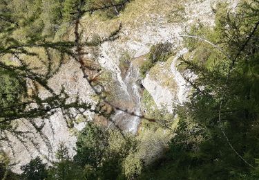 Randonnée Marche Réallon - les gourniers le lac du Laus  - Photo