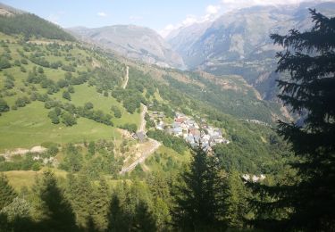 Tour Wandern Auris - sentier des bûcherons Auris station  - Photo