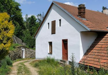 Randonnée A pied Dolní Heřmanice - naučná stezka Okruh Nesměřským údolím - Photo