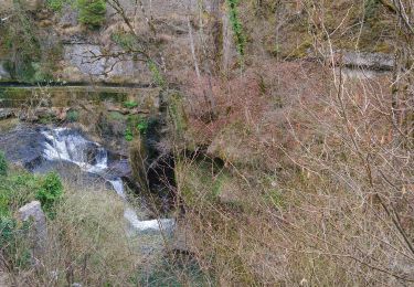 Trail Walking Saint-Germain-de-Joux - les marmites St Germain de joux  - Photo