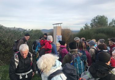 Trail Walking Montaud - Bois de Montlaur - Photo