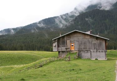 Tour Zu Fuß San Pietro di Cadore - IT-158 - Photo