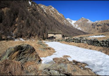 Tour Zu Fuß Ponte di Legno - Ponte di Legno (Sant'Apollonia) - Lago Nero - Photo