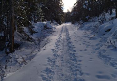 Trail Walking Saint-Martin-en-Vercors - 26 tourtre zels - Photo