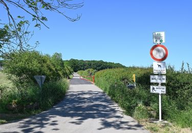 Randonnée A pied Mamer - Engelsratt - Photo