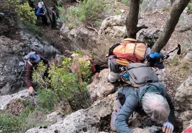 Trail Walking La Roquebrussanne - la source des orris - Photo