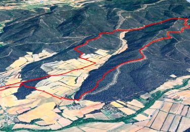 Trail Walking Pierrefeu-du-Var - SityTrail - cabane des gardes-Pierrefeu-25-02-22 - Photo