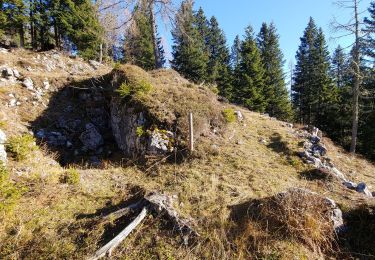 Tour Zu Fuß Lozzo di Cadore - Anello dei Forti - Photo