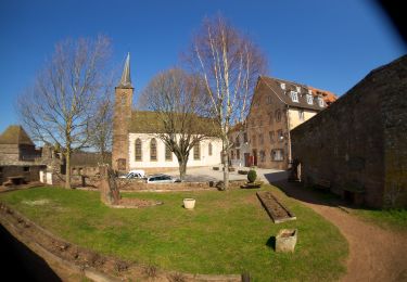 Excursión A pie La Petite-Pierre - Losange jaune - Photo