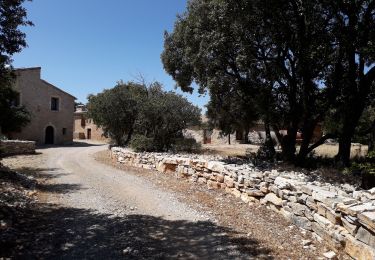 Tocht Stappen Puéchabon - Puechabon belvedere st guilhem  - Photo