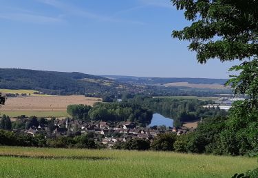 Trail Walking Armeau - Armeau - Photo