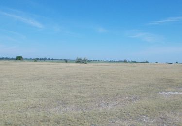 Percorso A piedi Tápiószentmárton - Hajta természetismereti túra - Photo