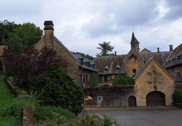 Tour Wandern Florenville - Orval - Photo