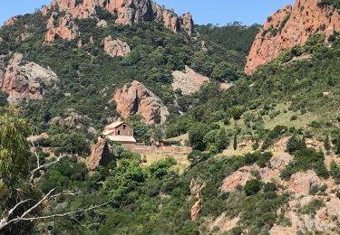 Tour Wandern Saint-Raphaël - JD 14/20 Du col de Notre-Dame aux Suvières A&R - Photo