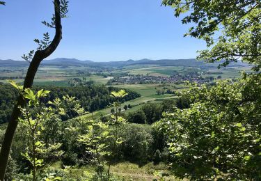 Percorso A piedi Liebenau - Zum Naturdenkmal Rosenberg - Photo