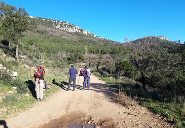 Trail Walking Cuers - Barres de Cuers  - Photo