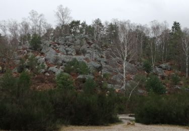 Tocht Noords wandelen Fontainebleau - appremont 1 - Photo