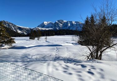 Tour Schneeschuhwandern Vaulnaveys-le-Haut - Lac Achard - Photo