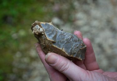 Tocht Te voet Asiago - Sentiero della Pertica e di Giogo Malo - Photo