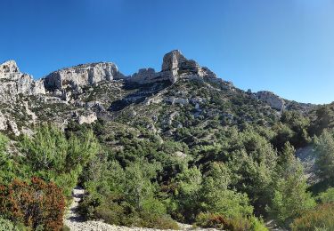 Tocht Te voet Marseille - FR-1 - Photo