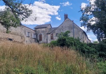 Randonnée A pied Sainte-Mesme - Boucle en forêt de Dourdan au départ de Sainte Mesme - Photo