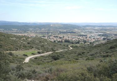 Randonnée Marche La Fare-les-Oliviers - PF-La Fare-les-Oliviers - J - Photo