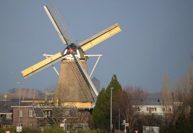 Randonnée A pied Zevenaar - Rijnstrangenpad - Photo