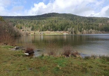 Trail Walking Gérardmer - tour du lac et cascade Merelle  - Photo