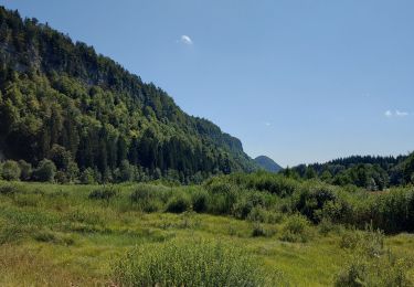 Randonnée Marche Le Frasnois - Tour du lac du Franoy - Photo
