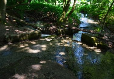 Tocht Te voet Räbke - Zielwanderweg Königslutter Schunterquelle - Photo