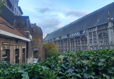 Randonnée Marche Liège - une heure dans le sentier des coteaux  - Photo