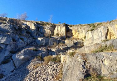 Excursión Senderismo Balacet - Col de l'Arraing - Photo