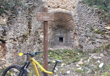 Percorso Mountainbike Mormoiron - Randuro de la Lauze  - Photo